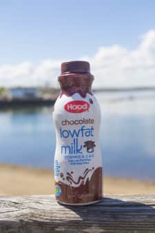 image of Chocolate Milk