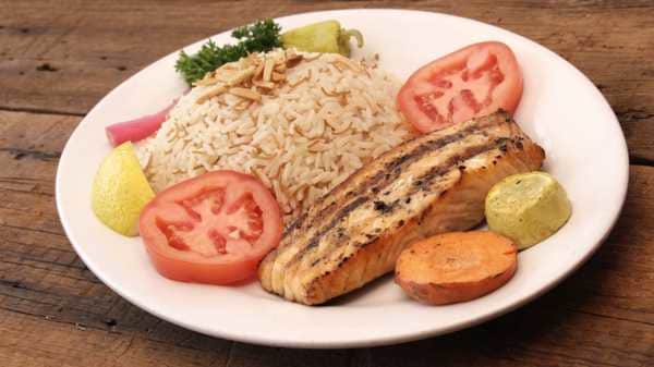 Salmon