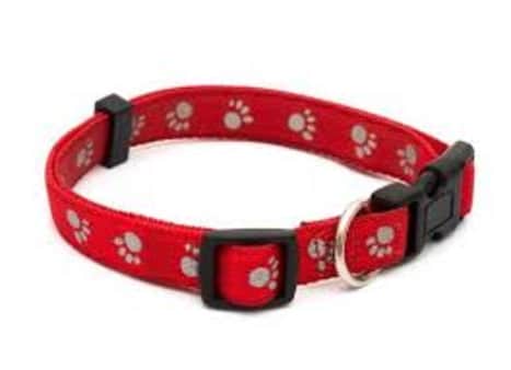 image of Hyperpet Medium Dog Collar  
