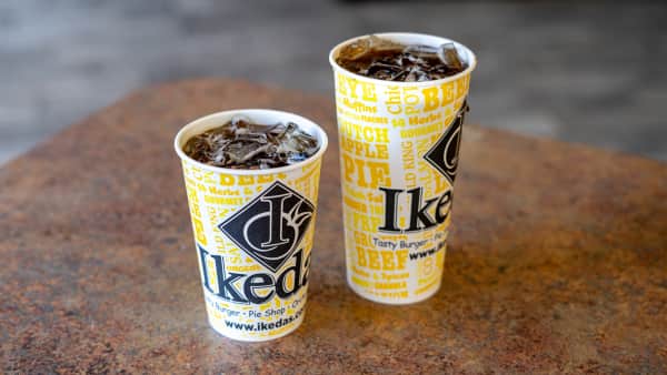 Large Fountain Drink