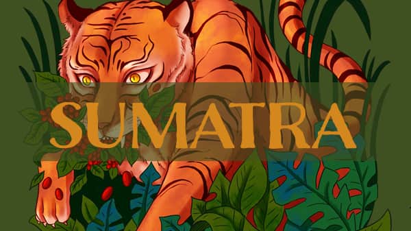 Sumatra