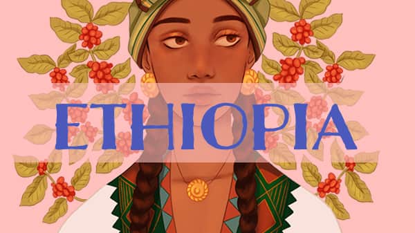 Ethiopia Whole Bean
