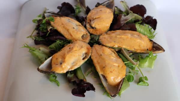 image of Green Mussel