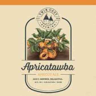image of Twin Oast Apricotawba, 4 pack cans 