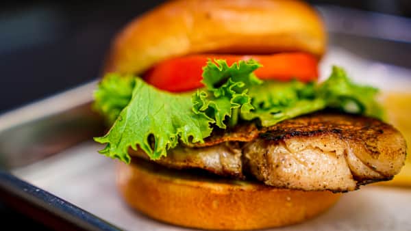 Snapper Fish Sandwich