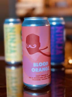 Ninja Kombucha - Canned, Blood Orange