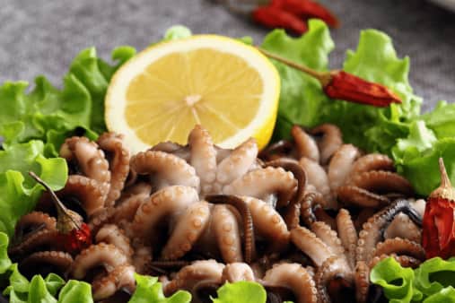 image of Baby Octopus Salad