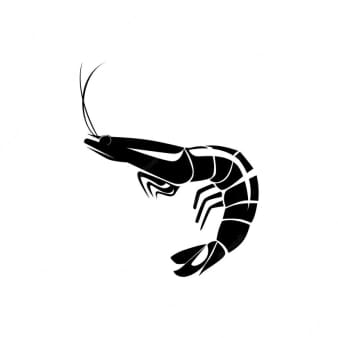 image of Shrimp