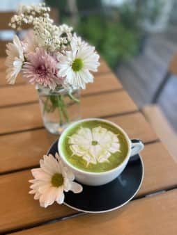 image of Matcha Latte 