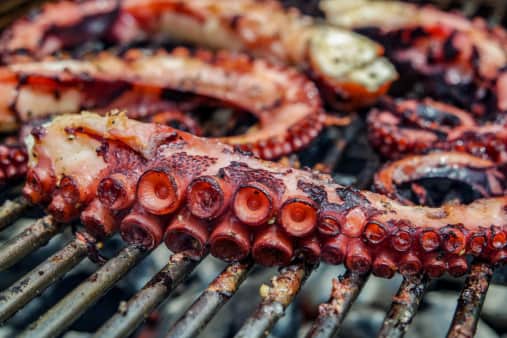 image of Grilled Octopus