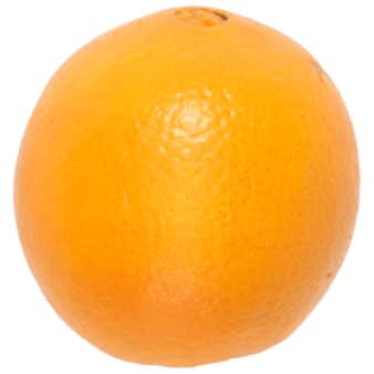 image of Orange