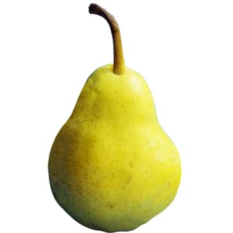 image of Pear