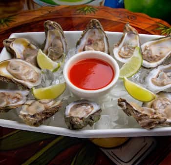 12 Oysters