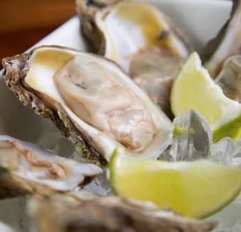 6 Oysters