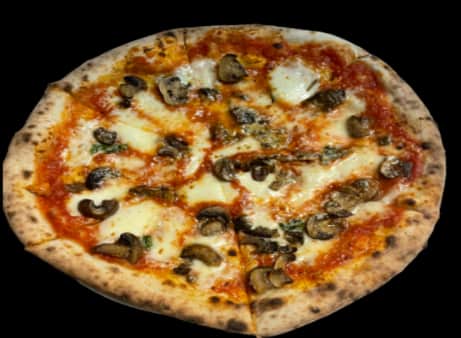 Funghi