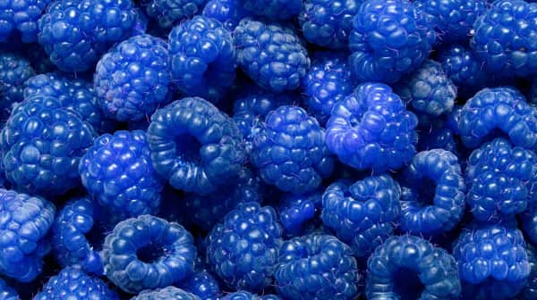 Lemonade (Blue Raspberry)