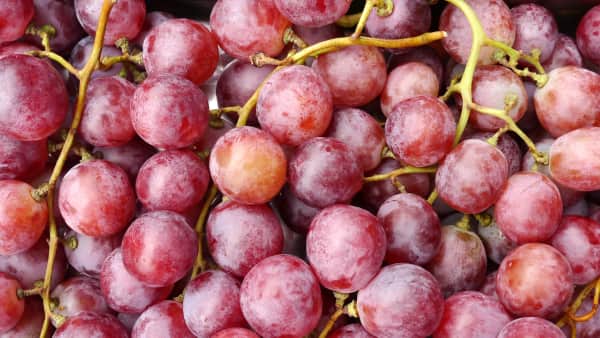 Lemonade (Grape)