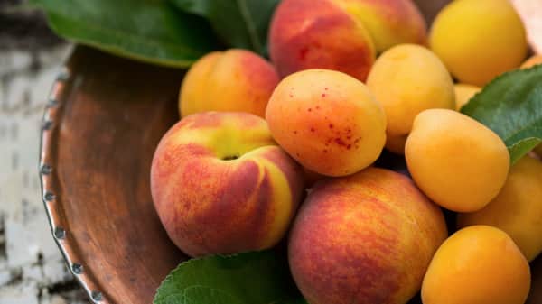 Lemonade (Peach)