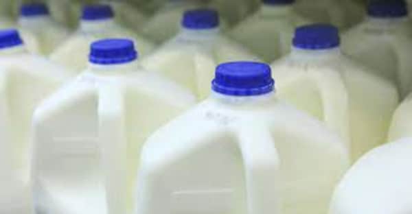 image of Milk
