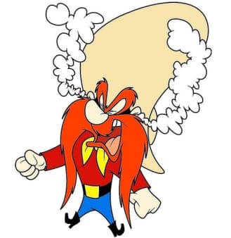 image of #31 The Yosemite Sam