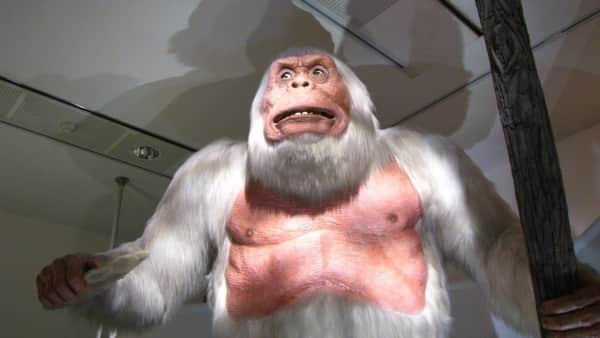image of #59 The Yeti