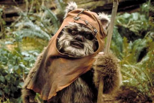 image of #60 The Ewok