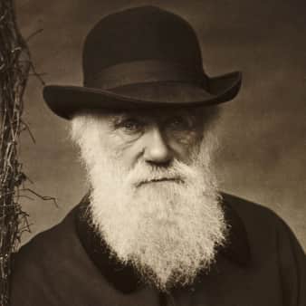 image of #79 The Charles Darwin