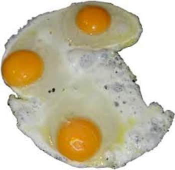 image of 5/1 Eggs