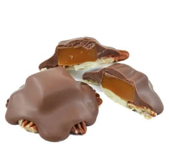 image of Caramel Pecan Turtle - Lil' Turtle