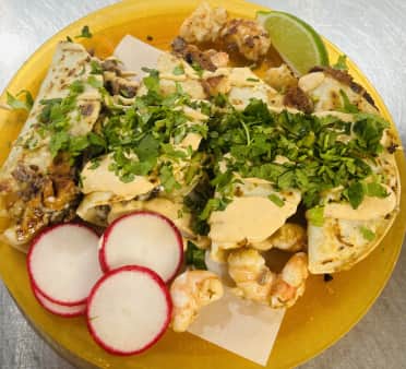 image of (4pc) Governador