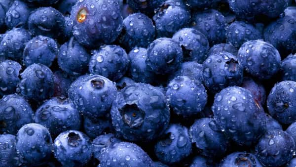 image of Side of Blueberries