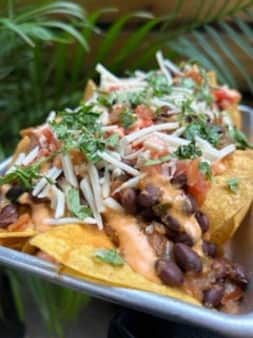 image of Vegan Nacho
