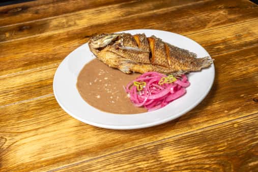 image of Mexican Tilapia