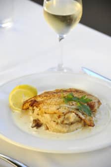 image of Fish of the Day