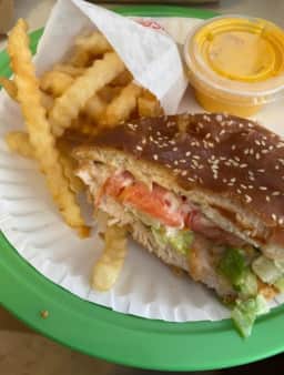 image of Chicken Filet 