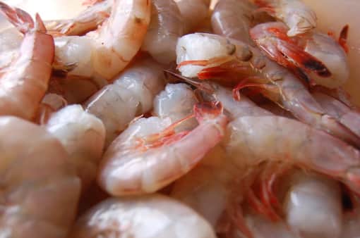 image of Raw - Medium Shrimp