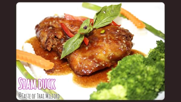 image of DK-4 Siam Duck