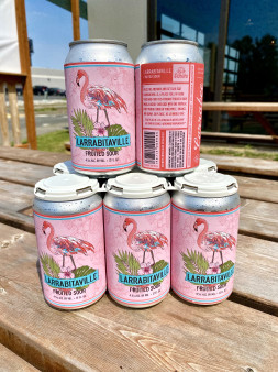 image of Larrabitaville Fruited Sour Ale 6pack