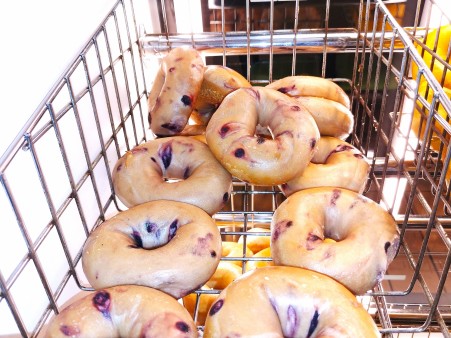 image of Blueberry Bagel