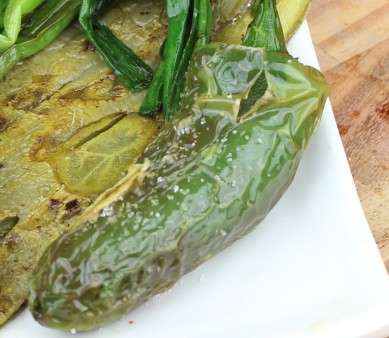 image of jalapeno torreado