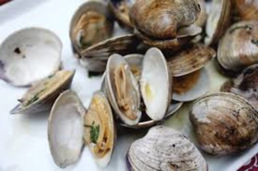image of Middle Neck Clams