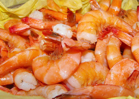 image of Shrimp