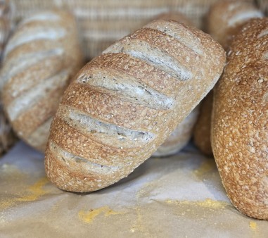 image of San Francisco Sourdough