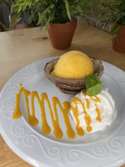 image of Mango Sorbet 