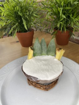 image of Coconut Sorbet 
