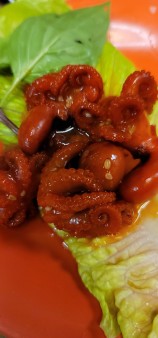 image of Baby Octopus 