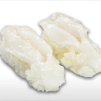 image of Conch 
