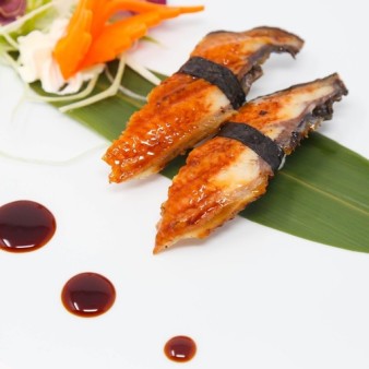 image of Eel