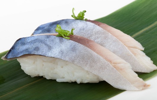 image of Mackerel 