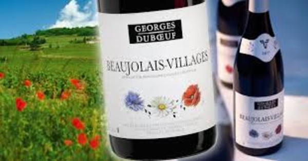 image of 805 Duboeuf, Beaujolais